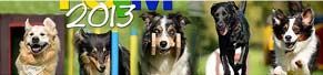Fotoshooting für einen Hundesport-Kalender: da viele schöne Bilder entstanden sind, gibt es pro Monat mehrere Kalenderblätter zur Auswahl. (Oktober 2012)